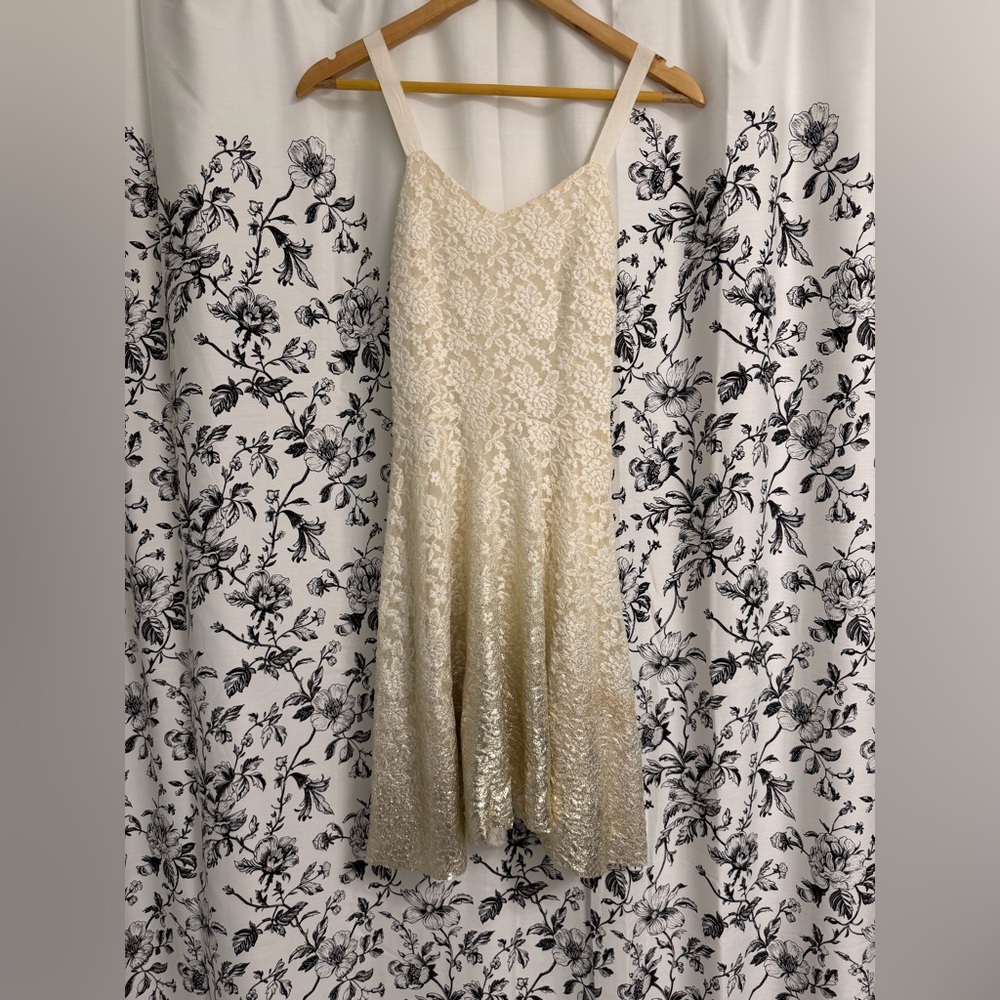 Free People Strapless Cream and Gold Ombré Lace Dress